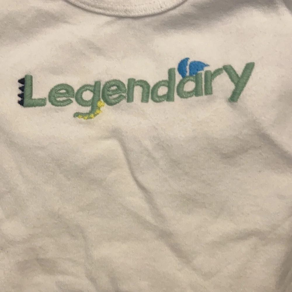 Just one you legendary one piece 12 months